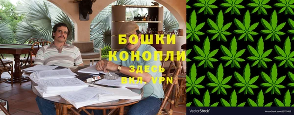 ГАЛЛЮЦИНОГЕННЫЕ ГРИБЫ Балахна