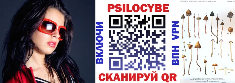 купить закладку Лосино-Петровский Псилоцибиновые грибы Psilocybe
